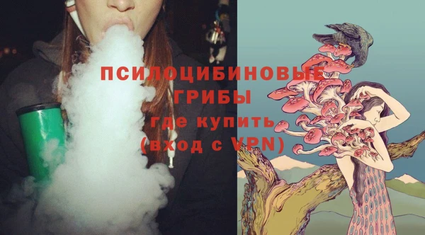 прущие крисы Балахна
