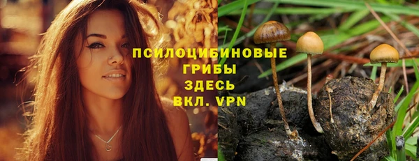 прущие крисы Балахна